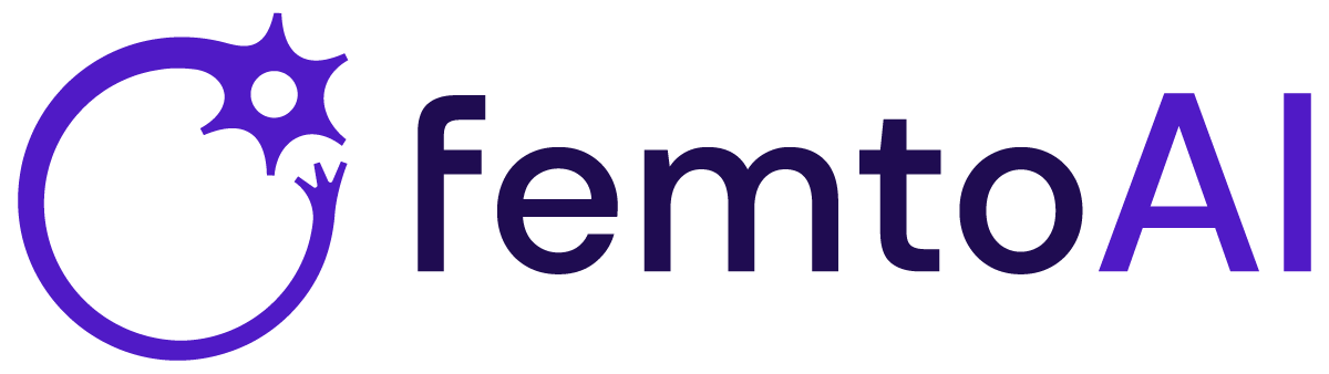 femtoAI